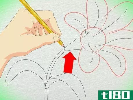 Image titled Draw a Lily Step 14