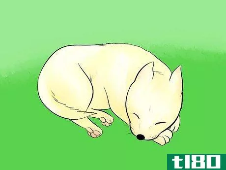 Image titled Draw a Cartoon Dog Step 27