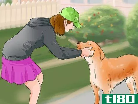 Image titled Make a Golden Retriever Stop Barking Step 10