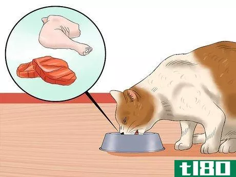 Image titled Ensure That Your Cat Finishes Its Food Step 5