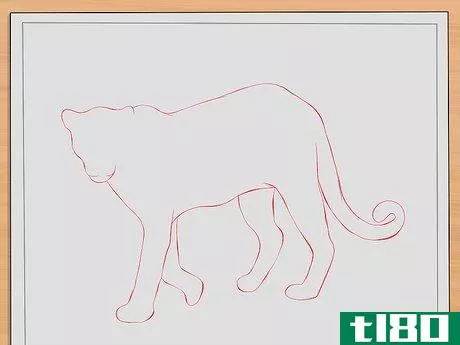 如何画豹子(draw leopards)