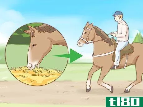 Image titled Feed a Horse Step 14