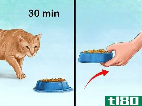 Image titled Feed a Fussy Cat Step 3