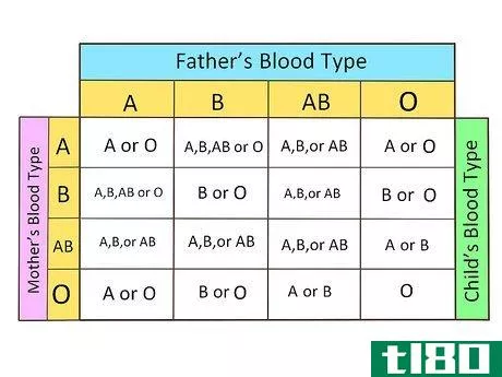 如何确定你的血型(determine your blood type)