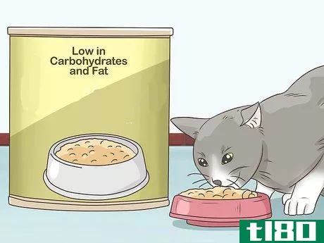 Image titled Feed a Diabetic Cat Step 4