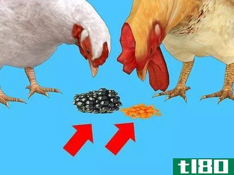 Image titled Feed Chickens Organically Step 3