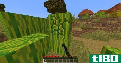 Image titled Find melon seeds in minecraft step 11.png
