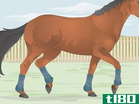 Image titled Fit a Horse for Support Boots Step 11