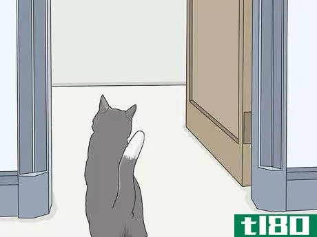 Image titled Gain a Cat's Trust Step 3