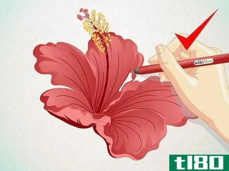 Image titled Draw a Cartoon Hibiscus Flower Step 6
