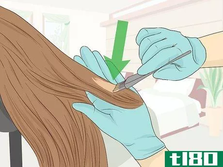 Image titled Dye a Human Hair Wig Step 5