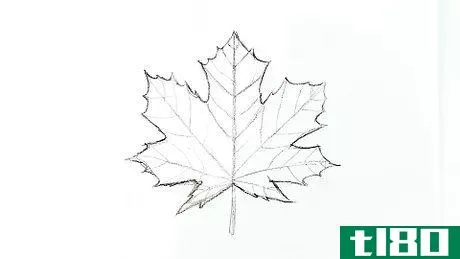 Image titled Draw a Maple Leaf Step 8