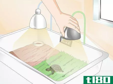 Image titled Feed Your Turtle if It is Refusing to Eat Step 2