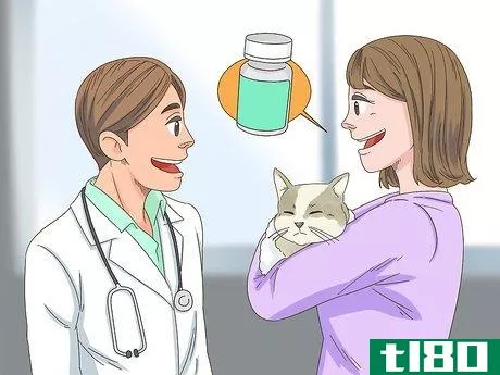 Image titled Diagnose and Treat Frostbite in Cats Step 10