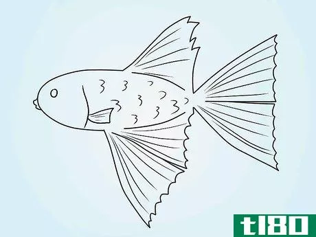 Image titled Draw a Betta Fish Step 9