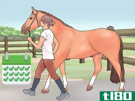 Image titled Feed a Starving Horse Step 14