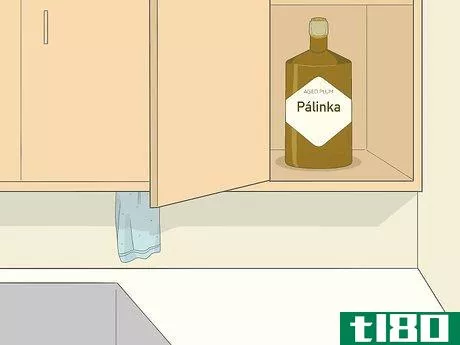 如何喝罗马尼亚佩林卡(drink romanian palinka)