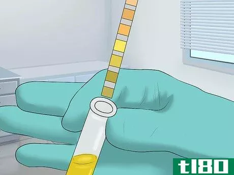 Image titled Detect Blood in Urine Step 4