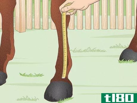 Image titled Fit a Horse for Support Boots Step 2
