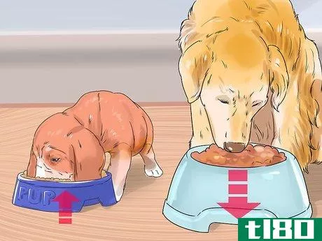 Image titled Feed Your Dog Naturally Step 15