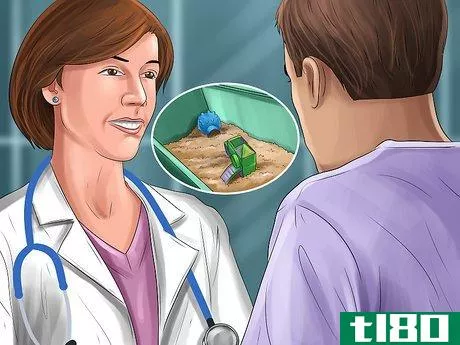 Image titled Diagnose Hamster Respiratory Illnesses Step 12