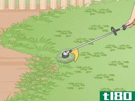 Image titled Edge a Lawn with String Trimmer Step 2