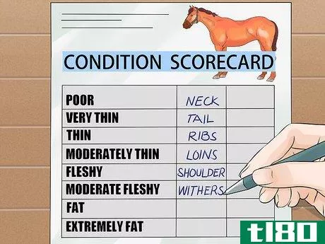 Image titled Do Condition Scoring for Horse Yearlings Step 6