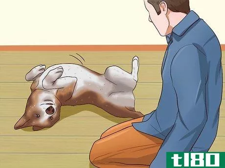 Image titled Get Dogs to Stop Barking Step 16