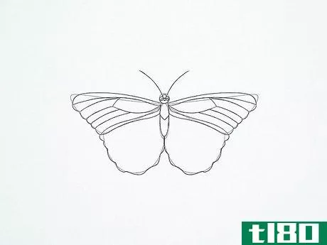 Image titled Draw a Butterfly Step 22
