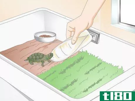 Image titled Feed Your Turtle if It is Refusing to Eat Step 12