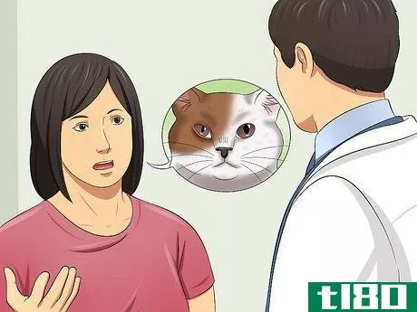 Image titled Diagnose Conjunctivitis in Cats Step 7