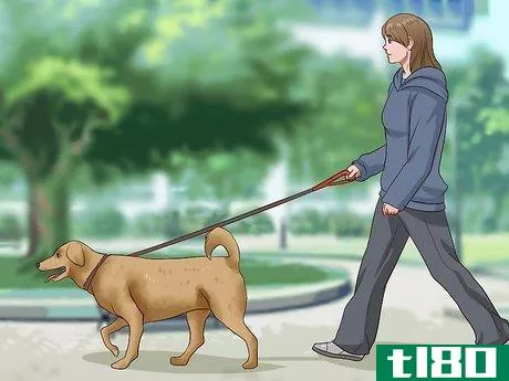 Image titled Get Dogs to Stop Barking Step 15