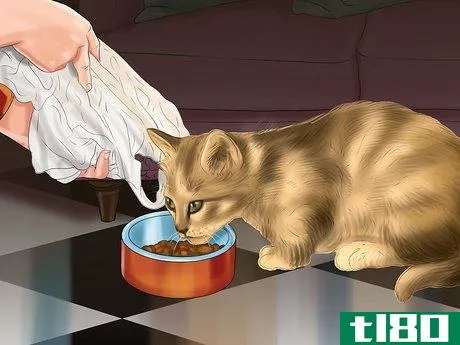 Image titled Encourage Your Cat to Eat Step 11