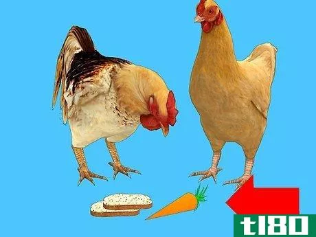 Image titled Feed Chickens Organically Step 8