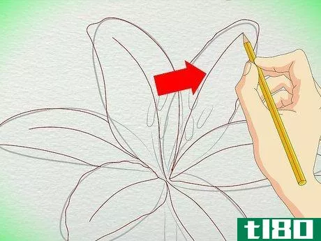 Image titled Draw a Lily Step 20