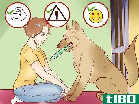Image titled Find a Good Guard Dog Step 10