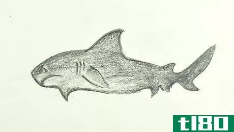 Image titled Draw a Shark Step 29