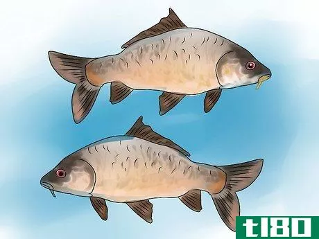 Image titled Fish for Alligator Gar Step 7