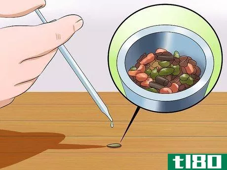 Image titled Feed a Hamster Medicine Step 8