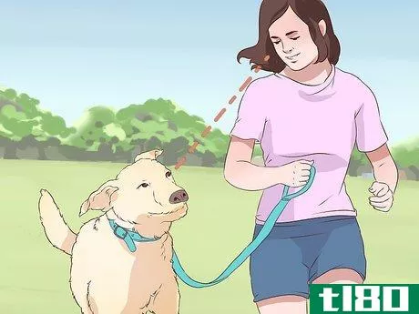 Image titled Exercise With Your Dog Step 9