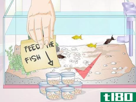 Image titled Feed Tropical Fish Step 10