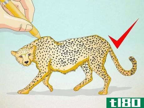 Image titled Draw a Cheetah Step 13