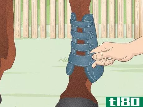 Image titled Fit a Horse for Support Boots Step 9