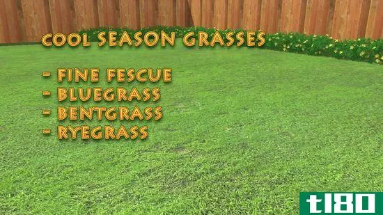 如何给草坪施肥(fertilize a lawn)