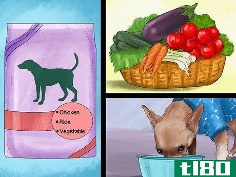 Image titled Feed Picky Chihuahuas Step 5