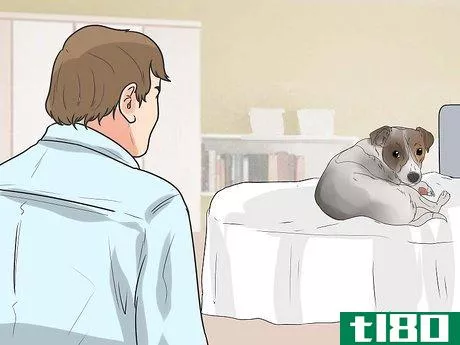 Image titled Encourage Your Dog to Sleep in Your Bed Step 9