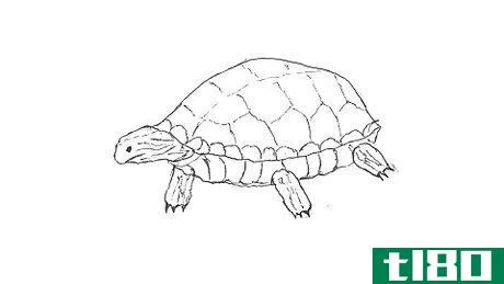 Image titled Draw a Turtle Step 26