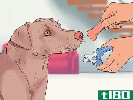 Image titled File a Dog's Nails Step 12