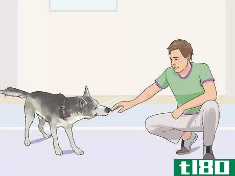Image titled Gain Trust in an Aggressive Dog Step 7