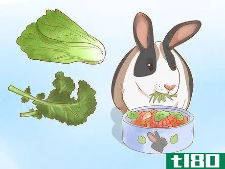Image titled Feed Your Rabbit with Pellets Step 16